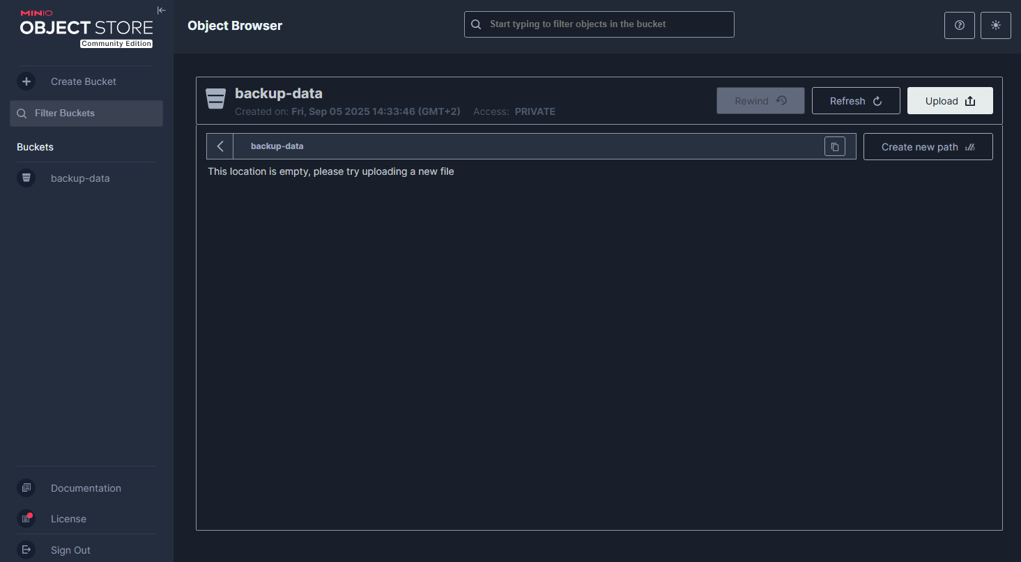 Aplikacja MinIO- szczegóły oferty hostingowej - Tworzenie i organizacja bucketów
