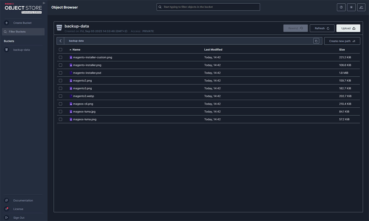 Aplikacja MinIO- szczegóły oferty hostingowej - Dodawanie obiektów do bucketów