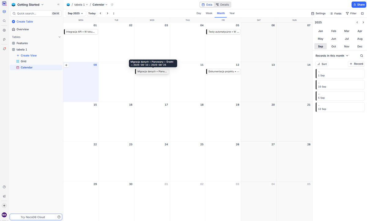 Aplikacja NocoDB - szczegóły oferty hostingowej - Różne sposoby prezentacji tabel